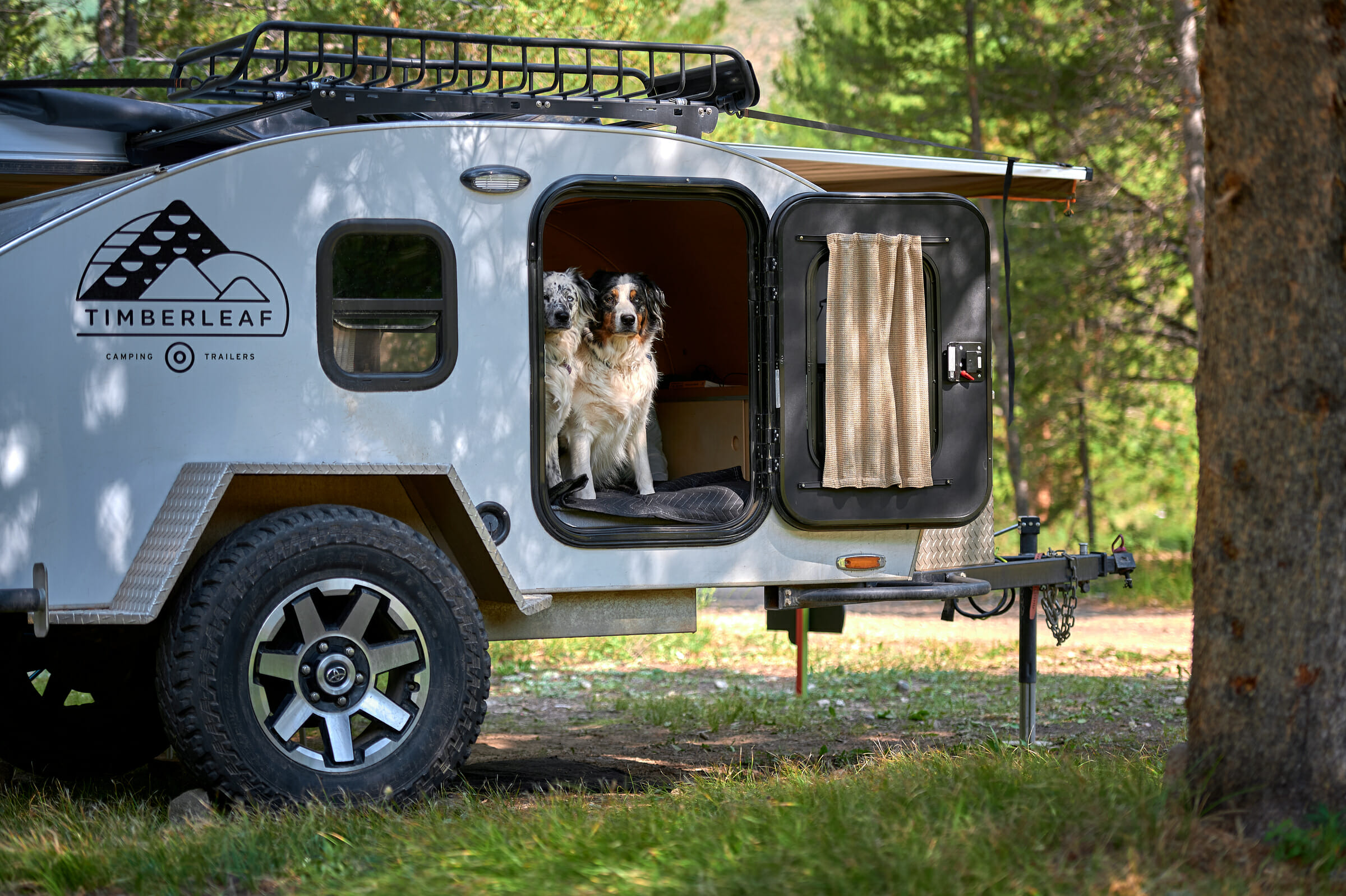 Teardrop Trailer Camping With Dogs