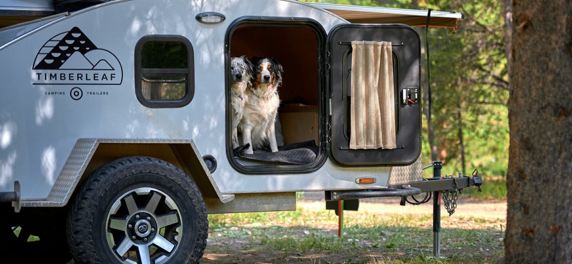 Teardrop Trailer Camping With Dogs