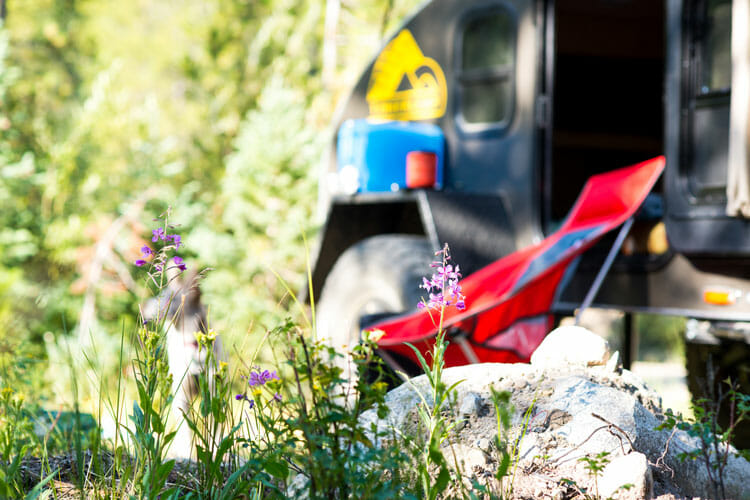 Get Back To Nature With Timberleaf Trailers